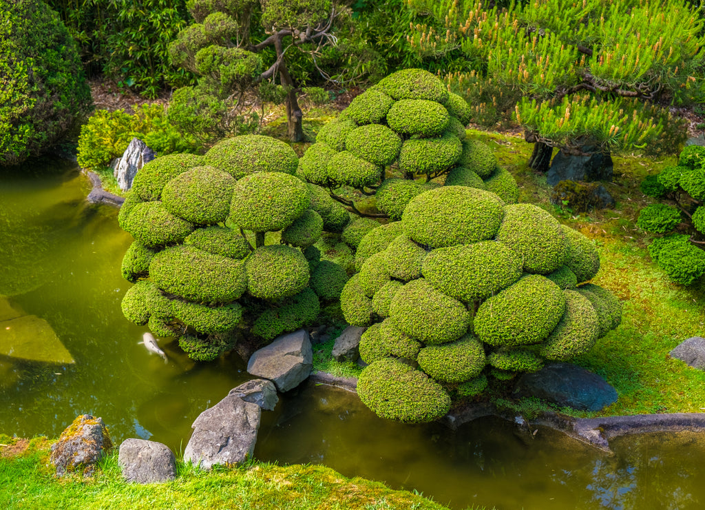 Japanese Garden in San Francisco, Tourist Attraction, California