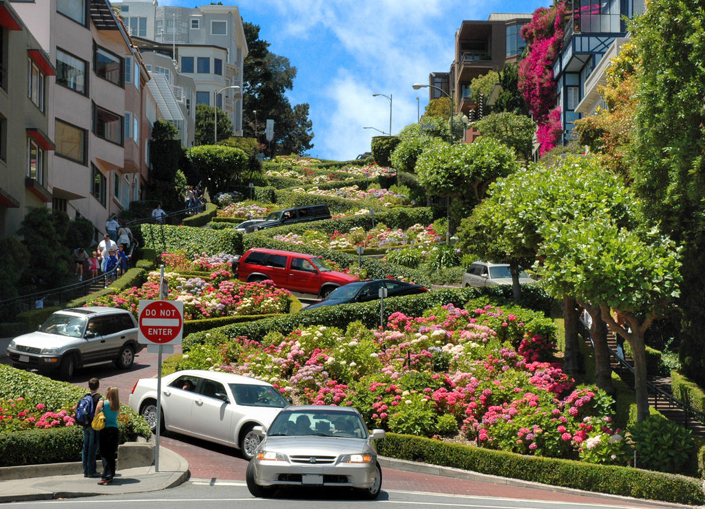 Lombard street, San Francisco, California