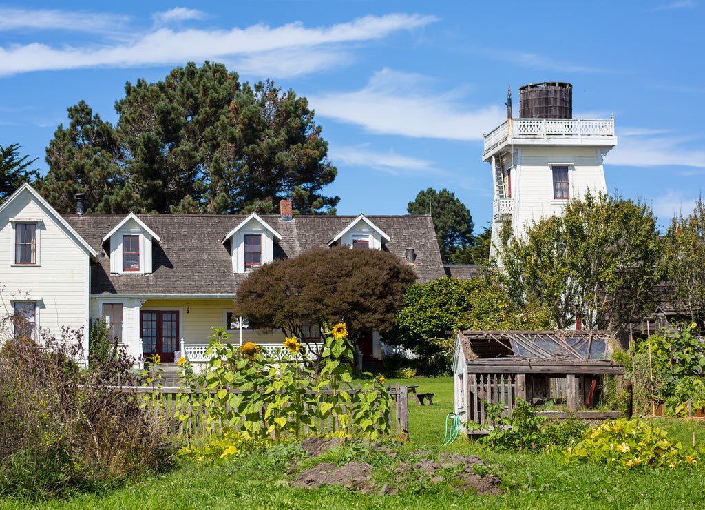 Lovely summer garden in backyard of house in Mendocino, California