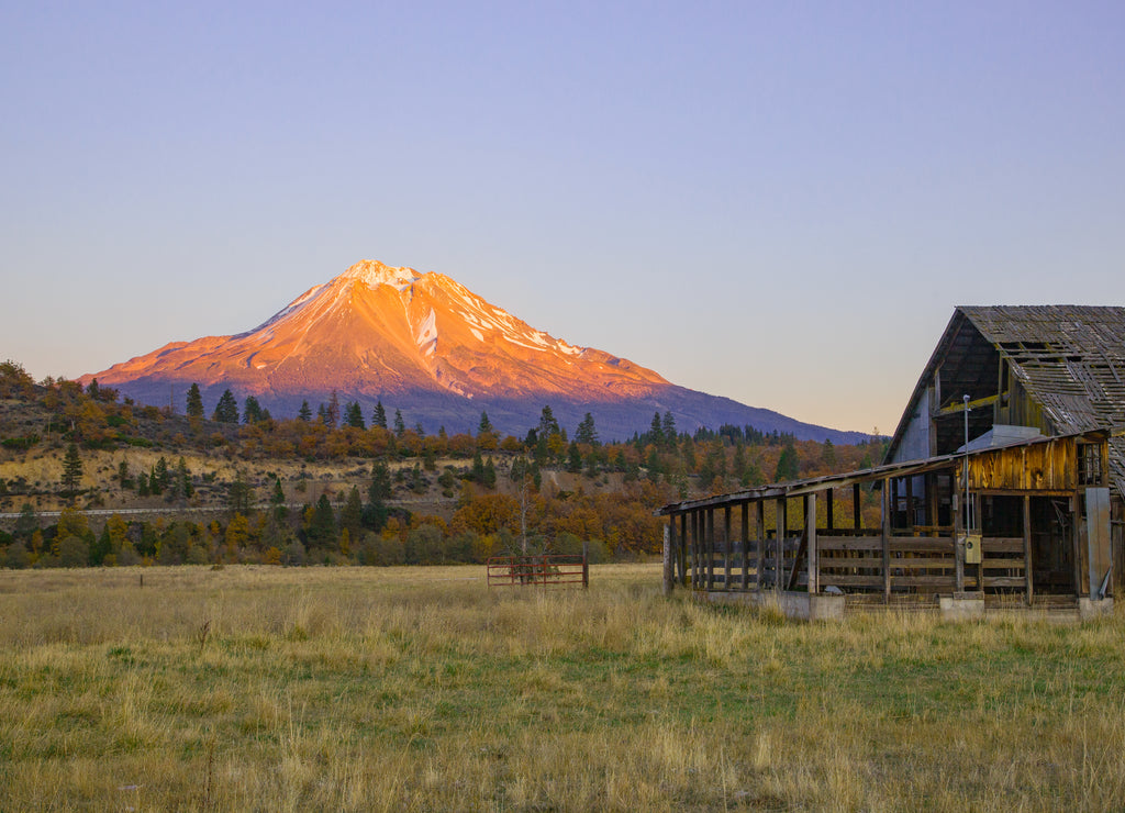 Mountain Shasta California