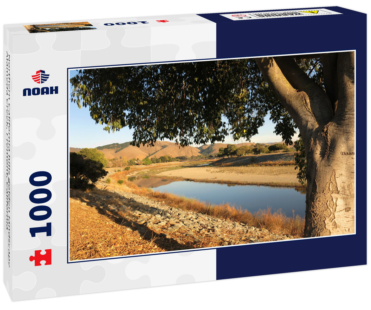 Northern California hills golden landscape Alameda Creek, Fremont, California