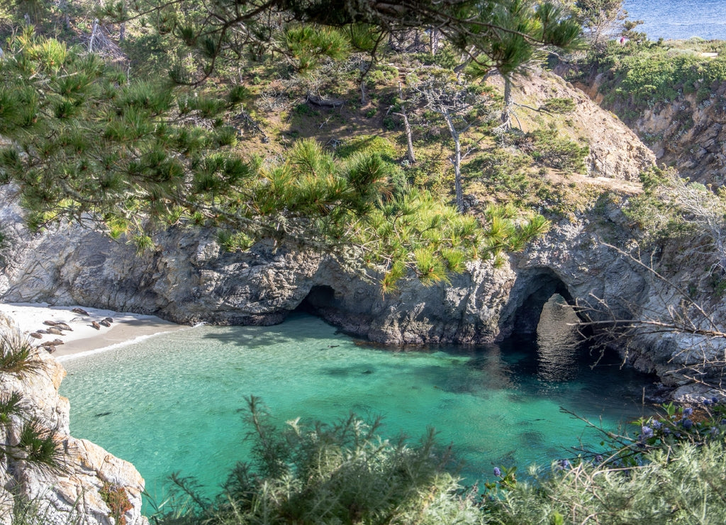 Point Lobos State Park California