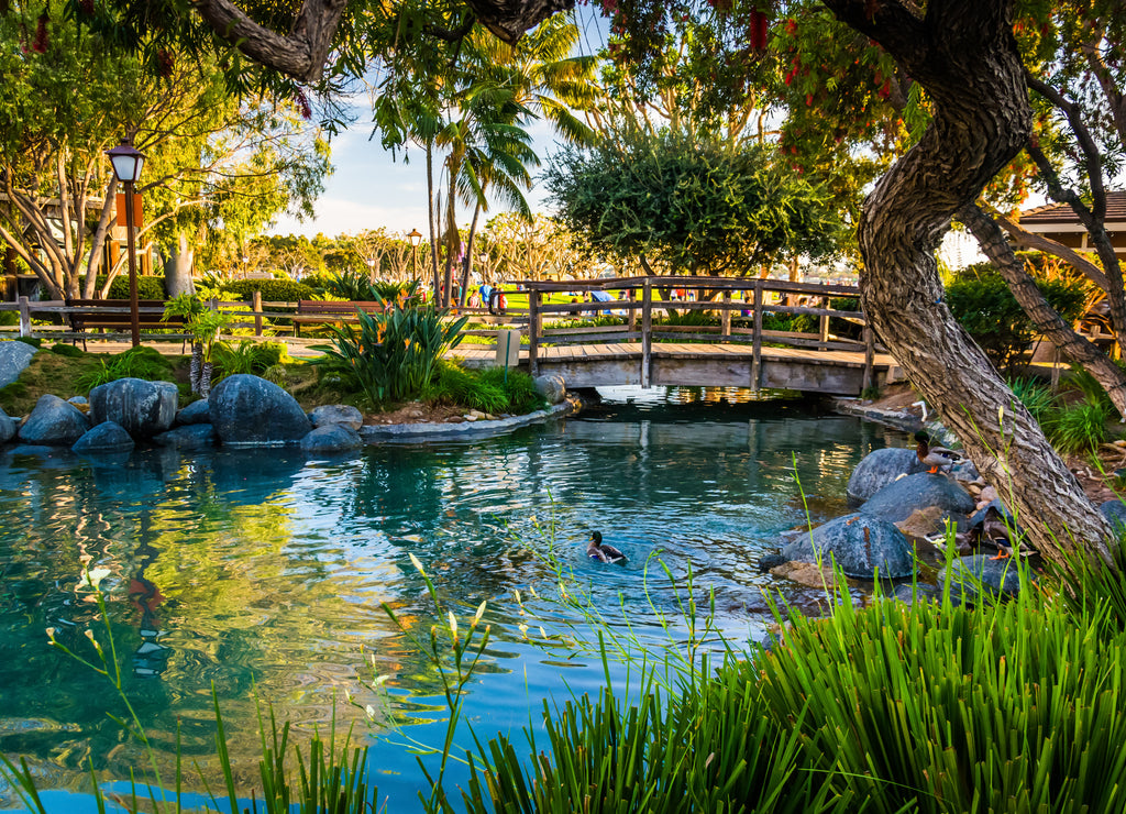 Pond at the Seaport Village, in San Diego, California