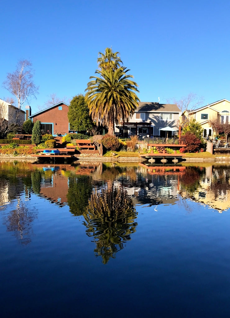Reflection in the water Alameda city, California