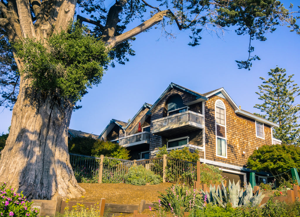 Residential neighborhood, Santa Cruz, California
