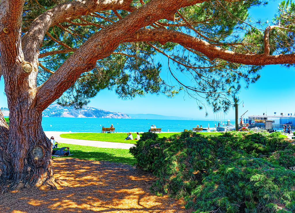 Sausalito is a city in Marin County, California