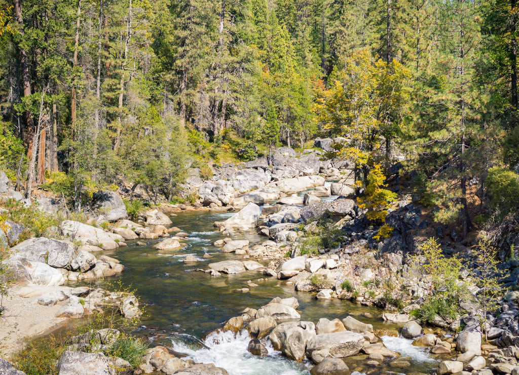 Stanislau River, Calaveras Big Trees State Park, California