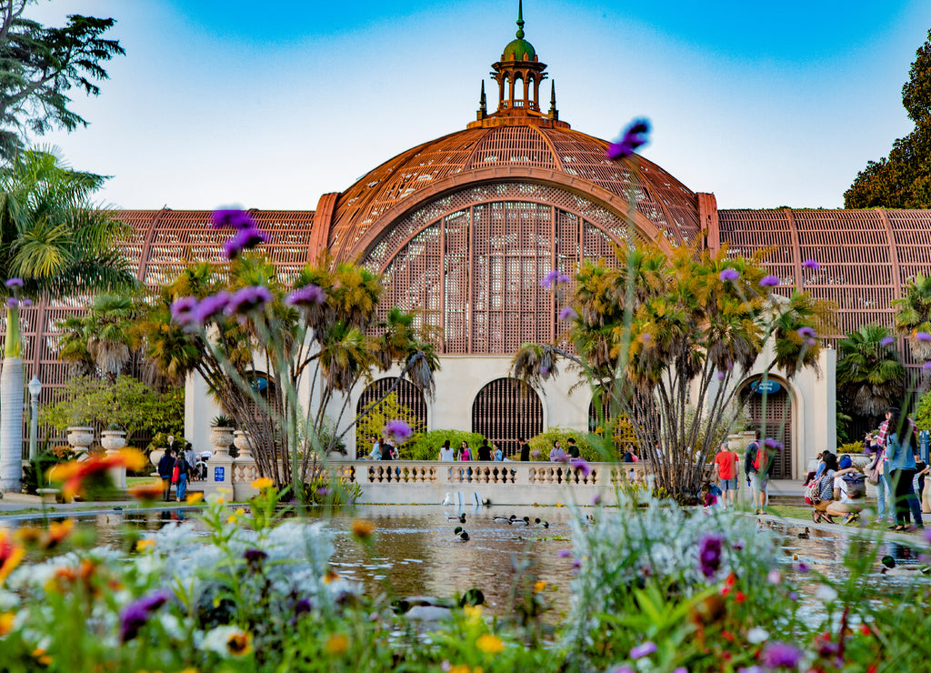 The Lily Pond at Balboa Park, San Diego, California