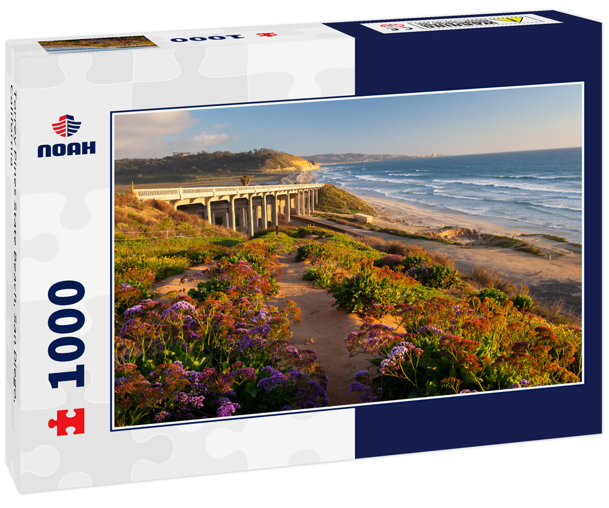 Torrey Pines State Beach, San Diego, California