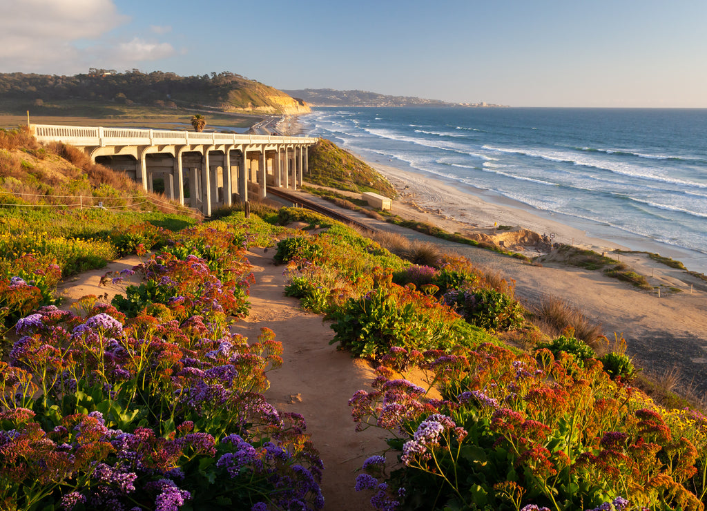 Torrey Pines State Beach, San Diego, California