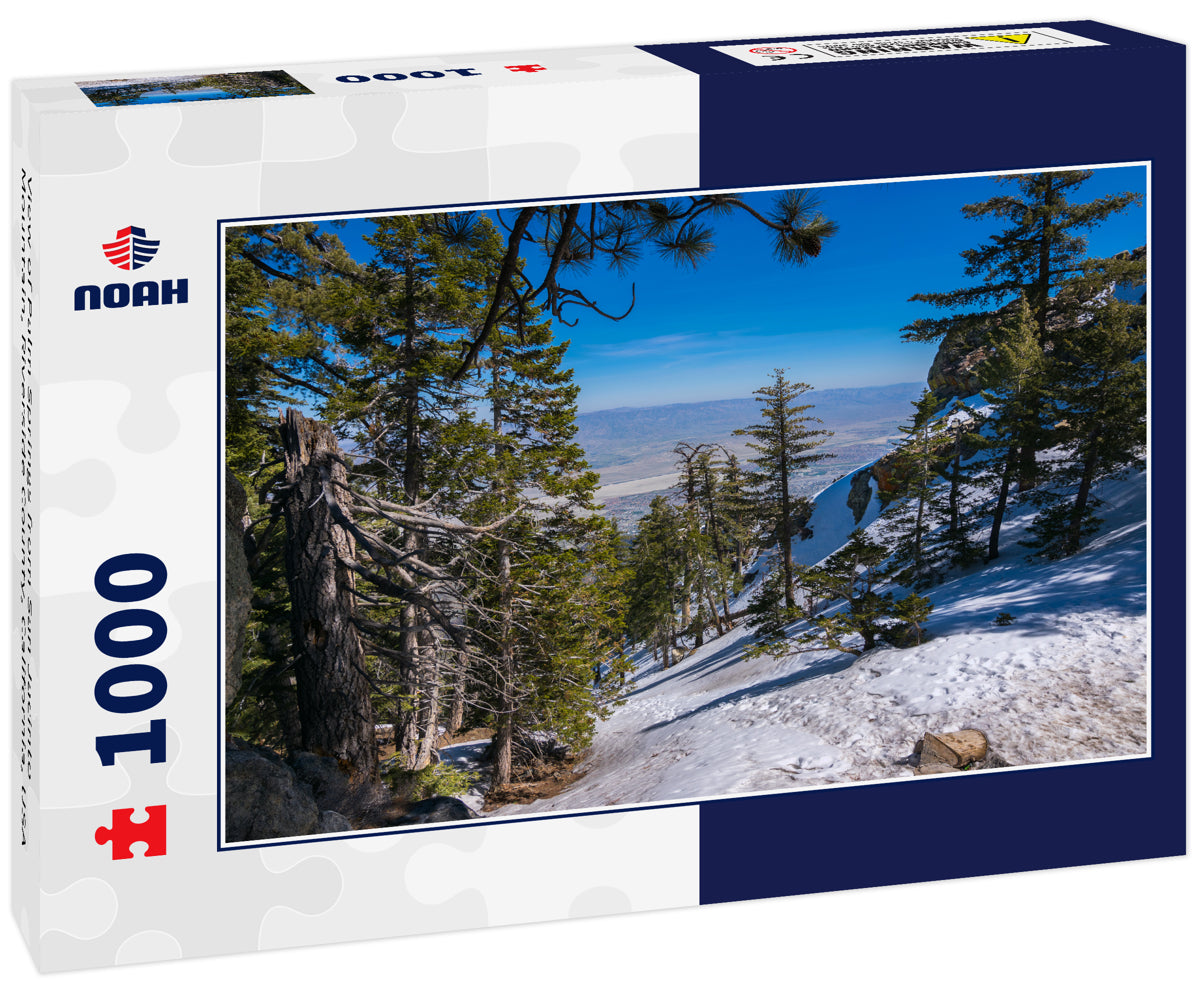 View of Palm Springs from San Jacinto Mountain, Riverside County, California, USA