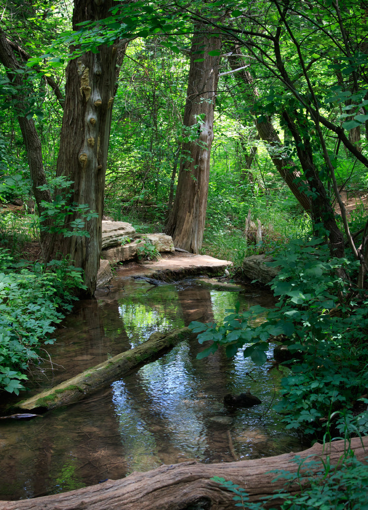 Creek and Wood at Roman Nose State Park, Oklahoma