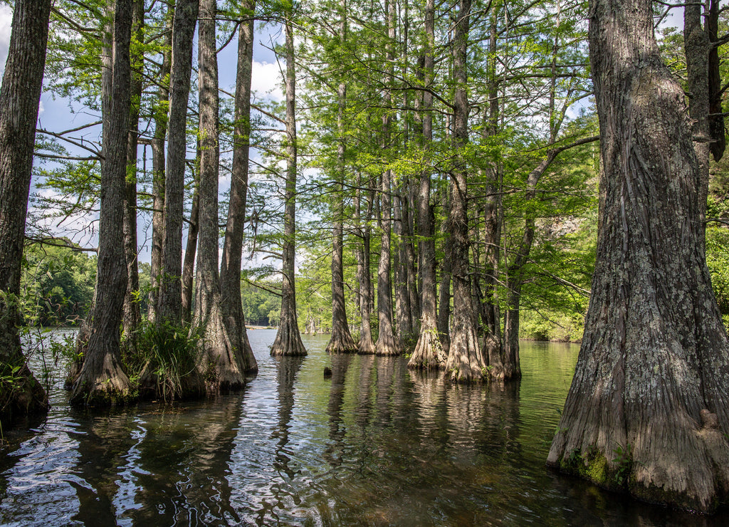 Beavers Bend State Park Oklahoma