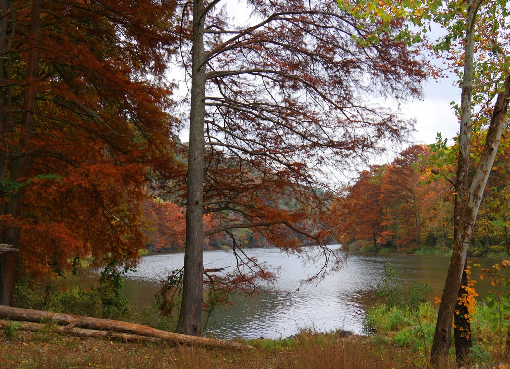 Majestic Mountain Fork river on a beautiful day in autumn, Beavers Bend State Park, Broken Bow Oklahoma