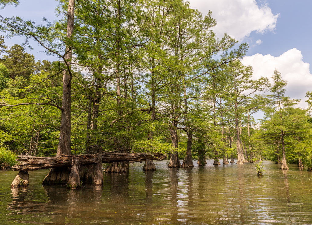 Beavers Bend State Park, Oklahoma