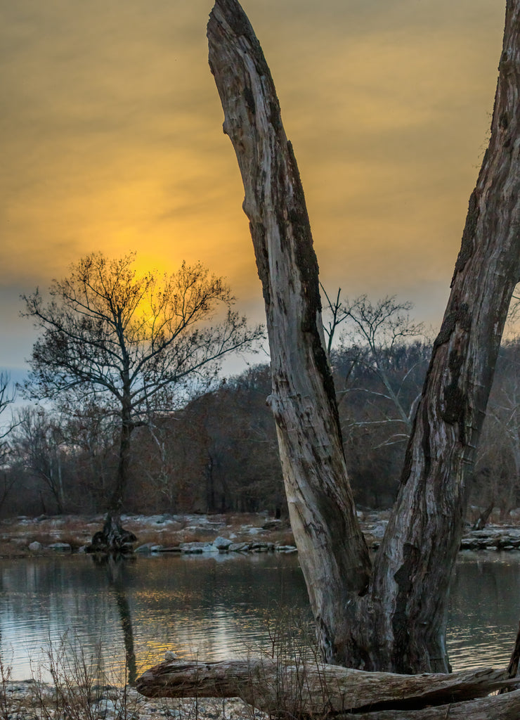 Neosho River and silhouetted trees at day's end. Northeastern Oklahoma
