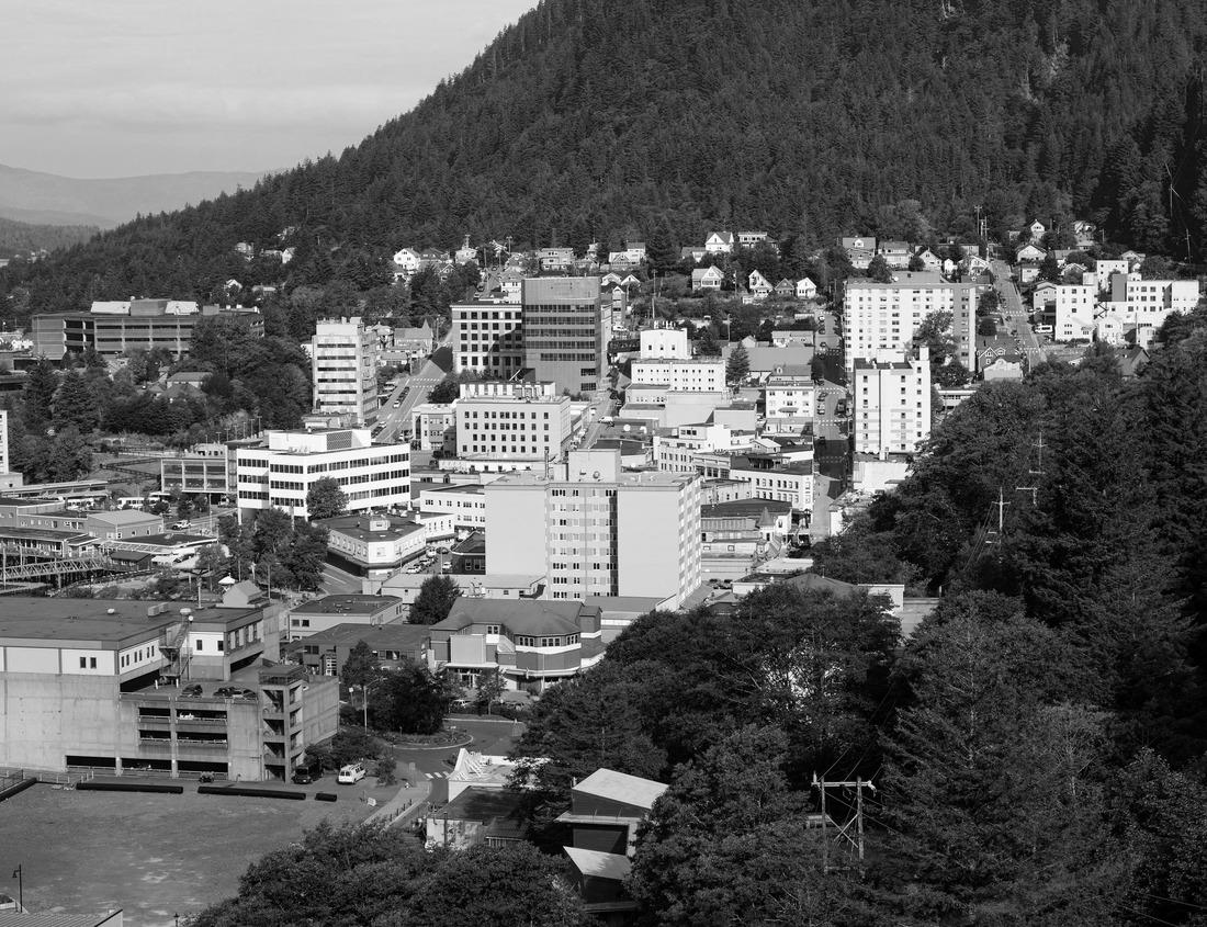 Noah Jigsaw Puzzle Aerial view of historic downtown Worcester with fall foliage in city of Worcester, Massachusetts MA, USA in black white 1000 pieces
