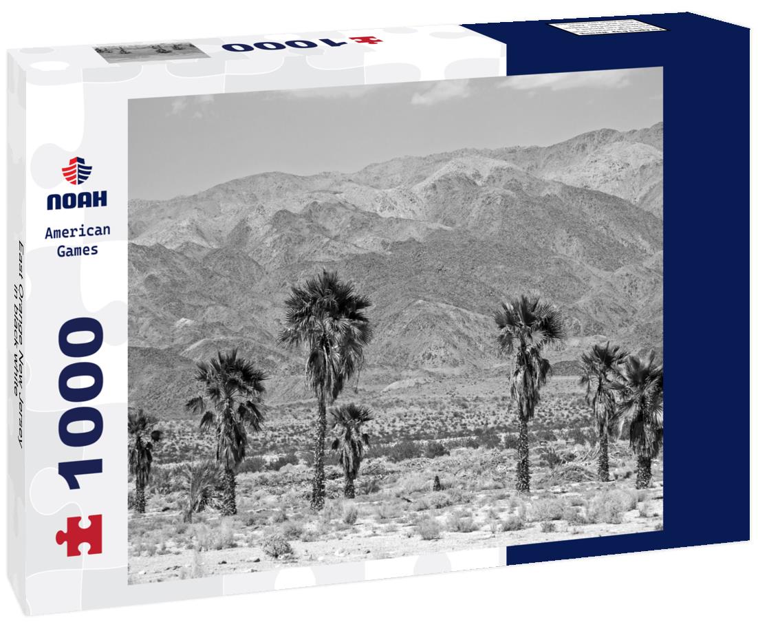Noah Jigsaw Puzzle East Orange New Jersey in black white 1000 pieces