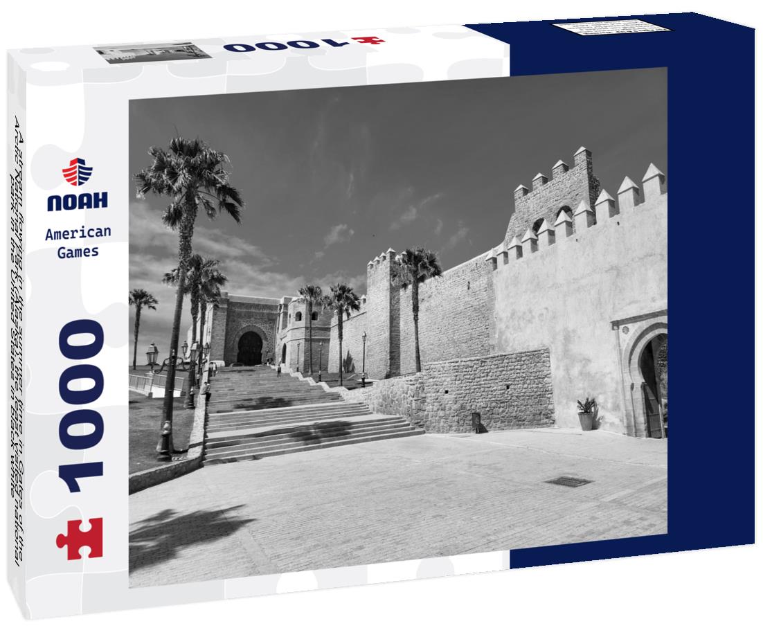 Noah Jigsaw Puzzle A stream flowing in the summer time in Gates of the Arctic National Park (Alaska), the least visited national park in the United States in black white 1000 pieces