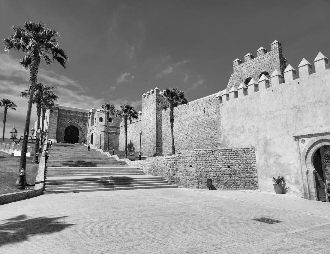 Noah Jigsaw Puzzle A stream flowing in the summer time in Gates of the Arctic National Park (Alaska), the least visited national park in the United States in black white 1000 pieces