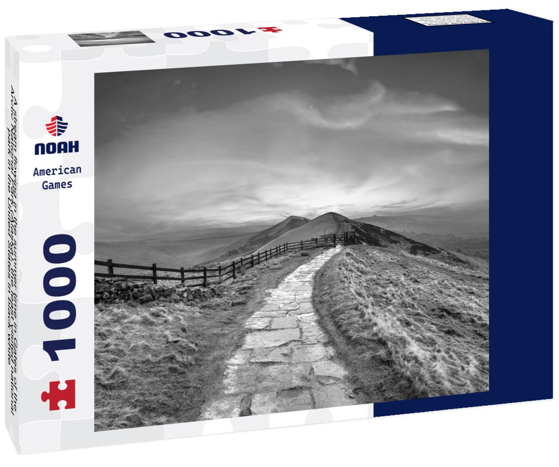 Noah Jigsaw Puzzle A stream flowing in the summer time in Gates of the Arctic National Park (Alaska), the least visited national park in the United States in black white 1000 pieces