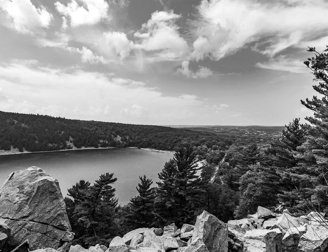 Noah Jigsaw Puzzle Aerial view of downtown Ann Arbor, Michigan in summer in black white 1000 pieces