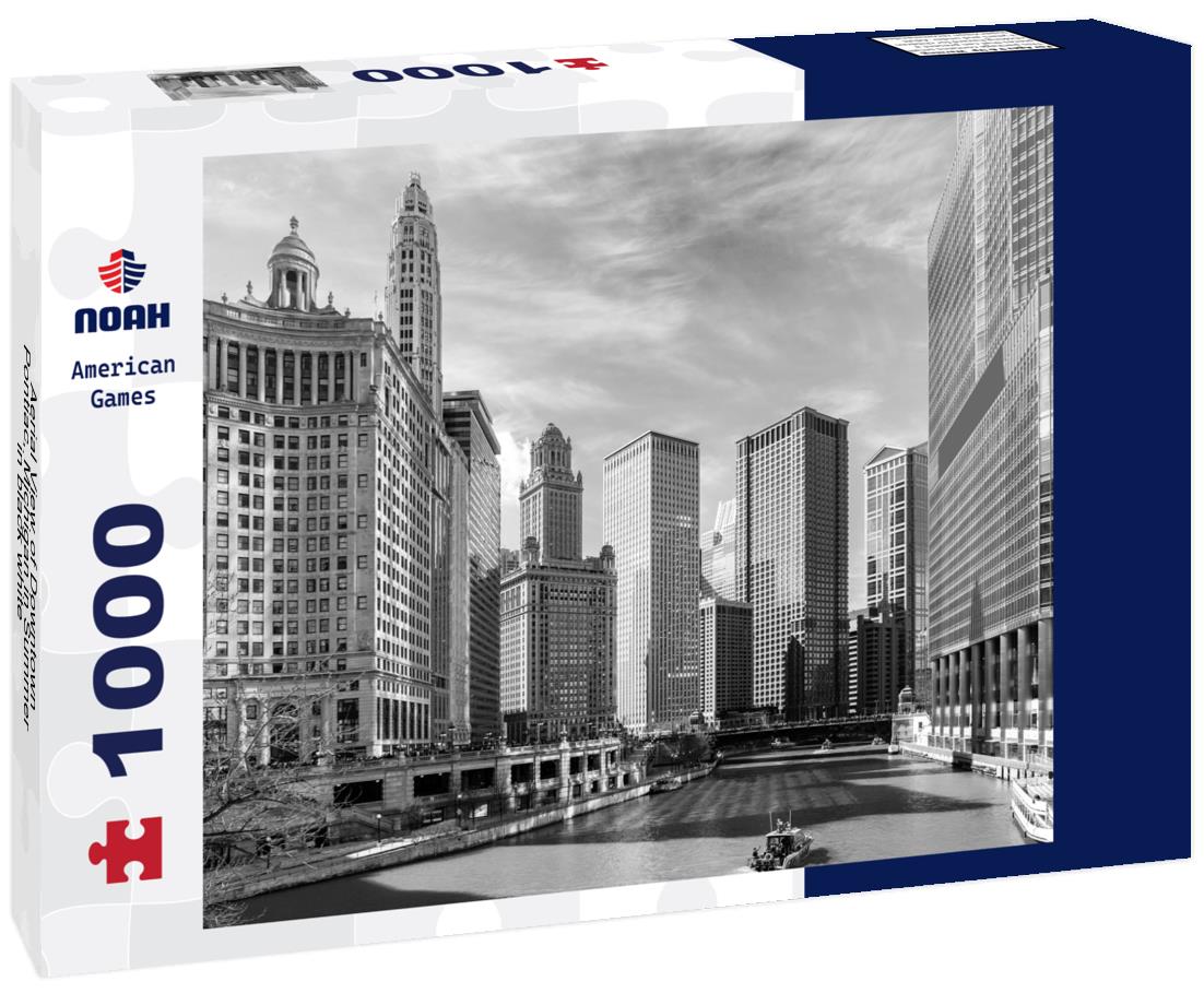 Noah Jigsaw Puzzle Aerial View of Downtown Pontiac, Michigan in Summer in black white 1000 pieces