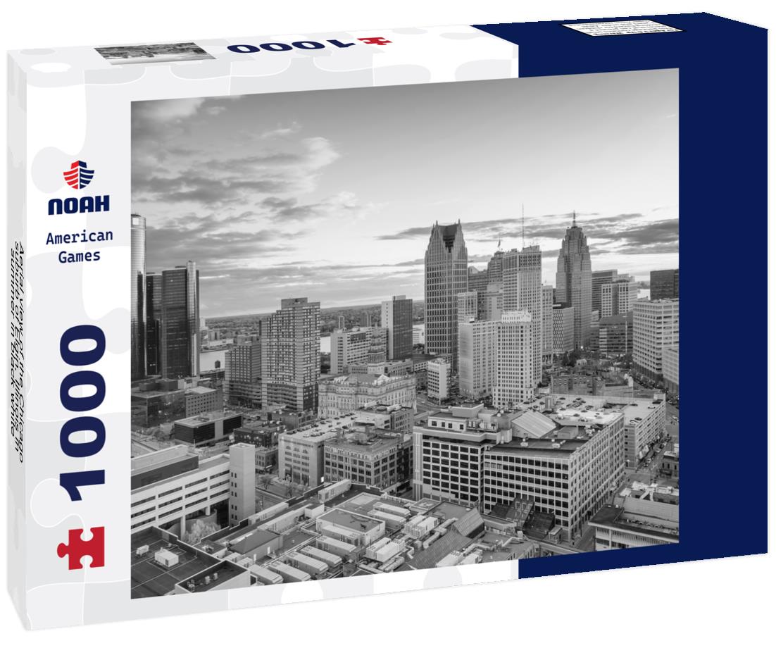 Noah Jigsaw Puzzle Aerial view of the Chicago suburb of Elgin, Illinois in summer in black white 1000 pieces