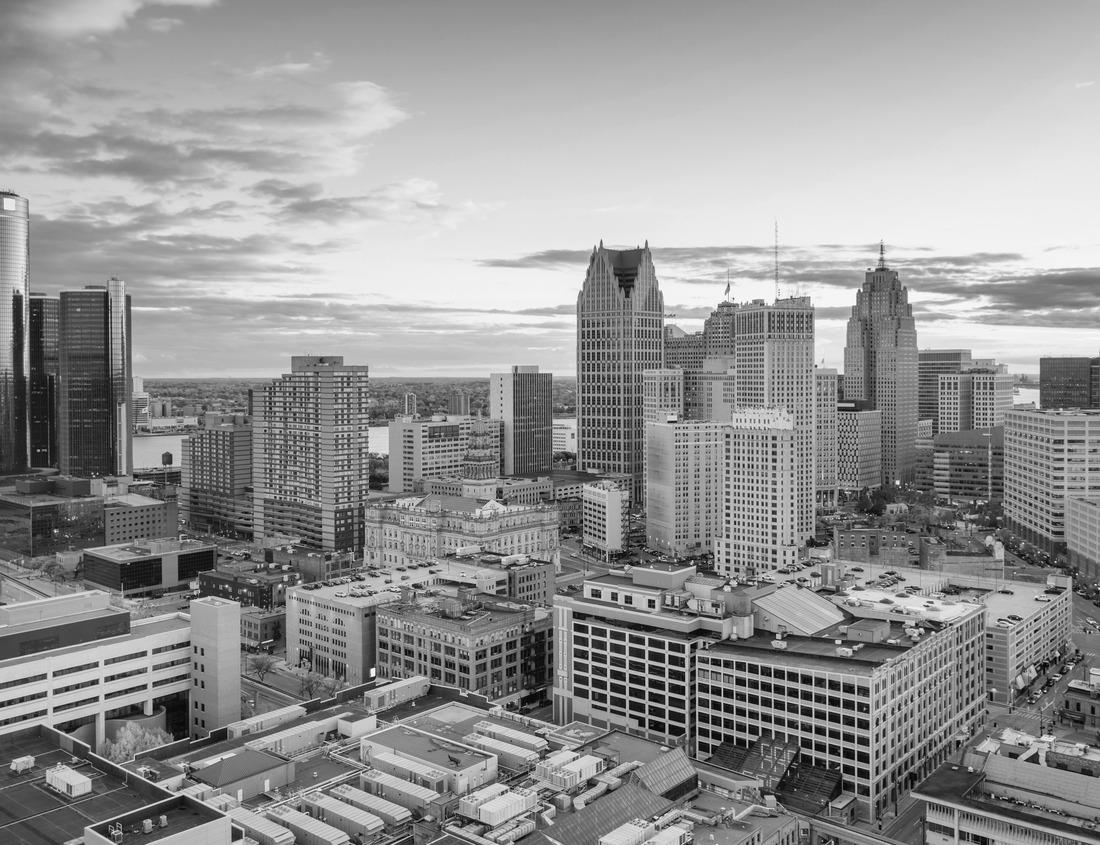 Noah Jigsaw Puzzle Aerial view of the Chicago suburb of Elgin, Illinois in summer in black white 1000 pieces