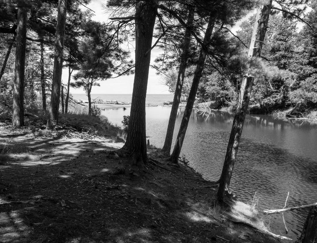 Noah Jigsaw Puzzle Aerial view of the Chicago suburb of Crystal Lake, Illinois in black white 1000 pieces