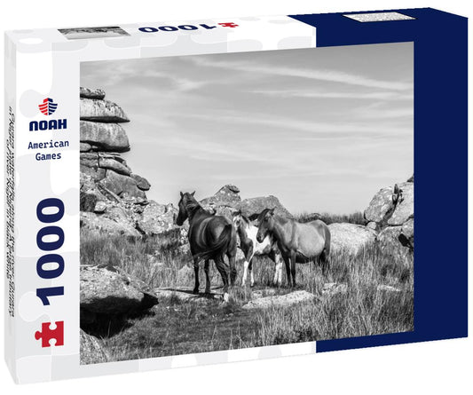 Noah Jigsaw Puzzle Gurara waterfalls along the river Gurara in Niger state of Nigeria. A large tributary of river Niger in black white 1000 pieces