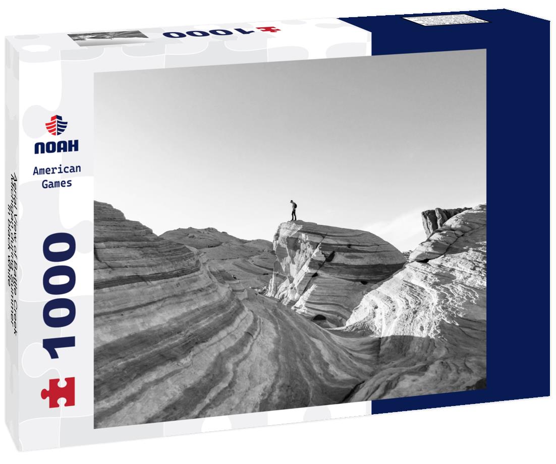 Noah Jigsaw Puzzle Aerial View of Battle Creek, Michigan during Summer in black white 1000 pieces