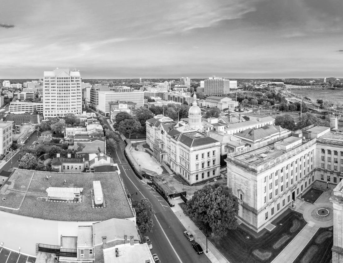 Noah Jigsaw Puzzle Aerial View of Battle Creek, Michigan during Summer in black white 1000 pieces
