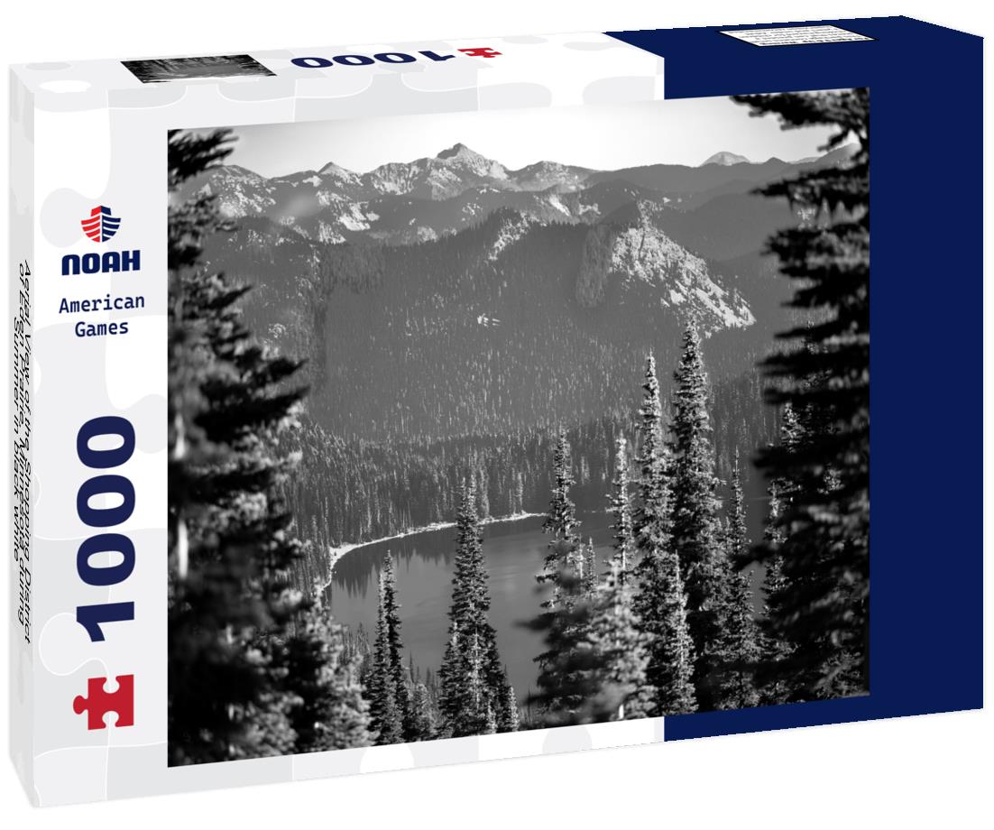 Noah Jigsaw Puzzle Aerial View of the Shopping District of Eden Prairie, Minnesota during Summer in black white 1000 pieces