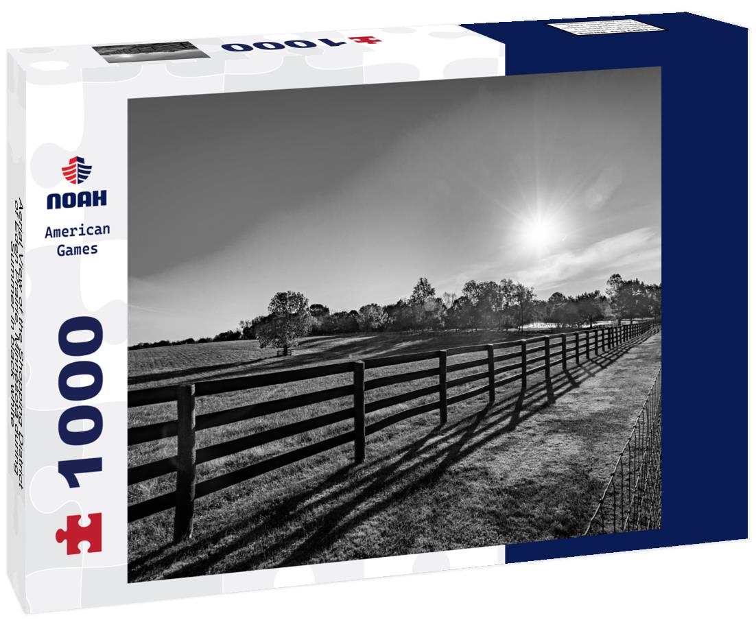 Noah Jigsaw Puzzle Aerial View of the Shopping District of Eden Prairie, Minnesota during Summer in black white 1000 pieces