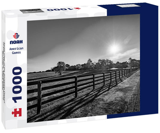 Noah Jigsaw Puzzle Aerial View of the Shopping District of Eden Prairie, Minnesota during Summer in black white 1000 pieces