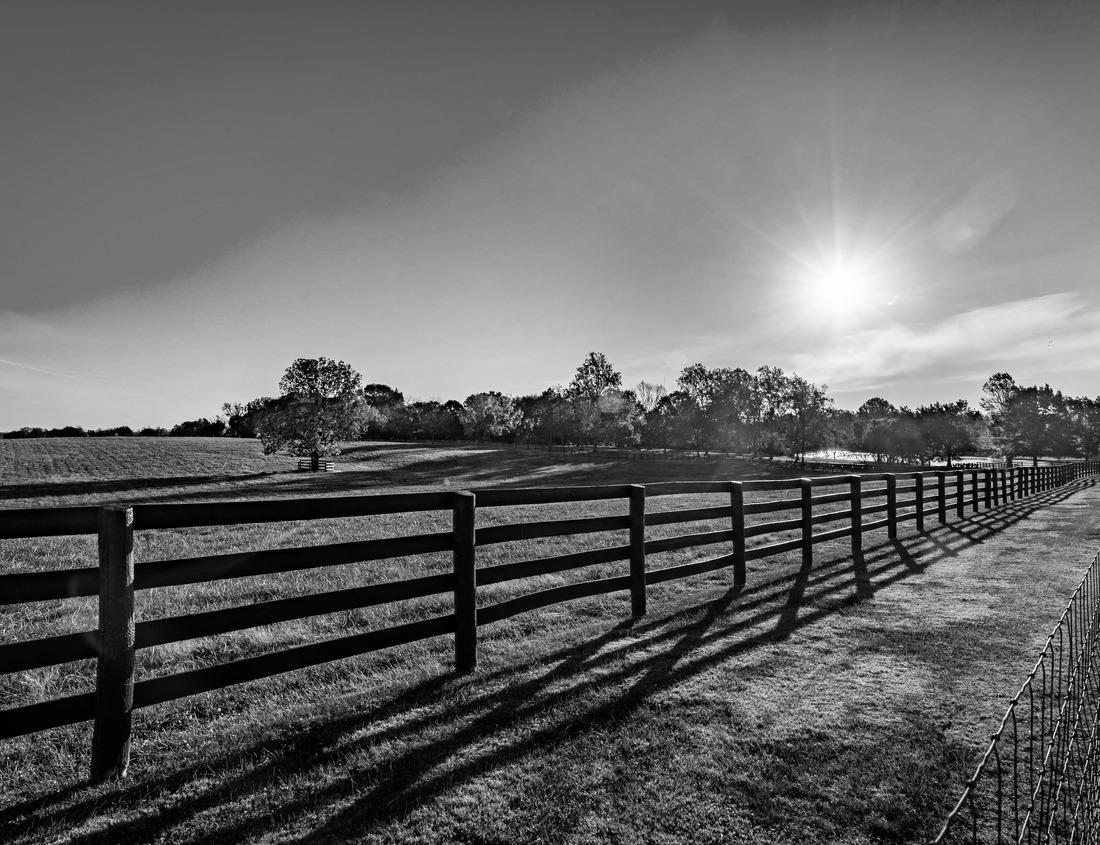 Noah Jigsaw Puzzle Aerial View of the Shopping District of Eden Prairie, Minnesota during Summer in black white 1000 pieces