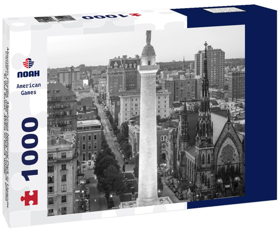 Noah Jigsaw Puzzle Mountain Gorilla, Mgahinga National Park in Uganda. Close-up of the wild, large black silverback gorilla in the forest, Africa in black white 1000 pieces