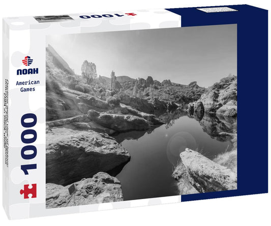 Noah Jigsaw Puzzle Daytime aerial view of historic downtown Folsom, California, USA in black white 1000 pieces