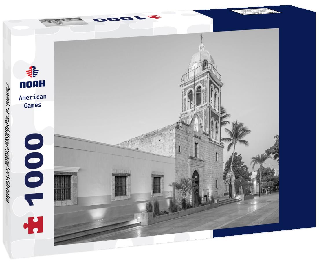 Noah Jigsaw Puzzle Aerial view of the sunset at Grinter Farms, a sunflower field in Kansas in black white 1000 pieces