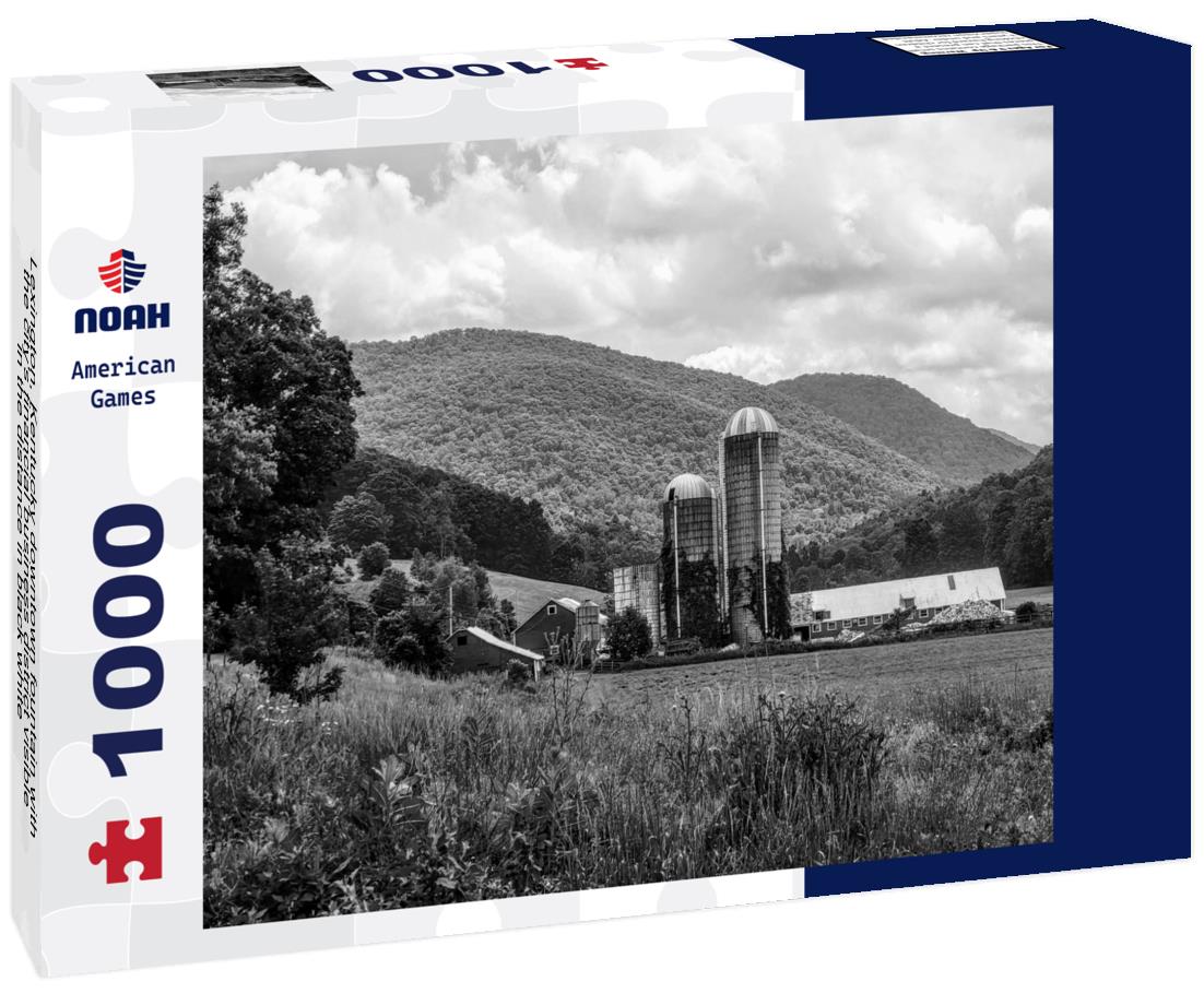 Noah Jigsaw Puzzle Lexington, Kentucky downtown fountain with the city's financial business district visible in the distance in black white 1000 pieces