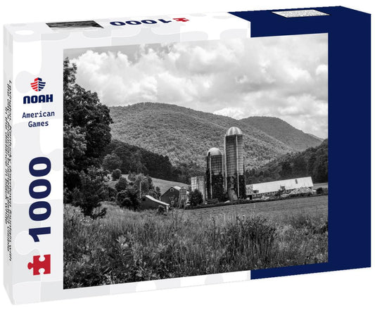 Noah Jigsaw Puzzle Lexington, Kentucky downtown fountain with the city's financial business district visible in the distance in black white 1000 pieces