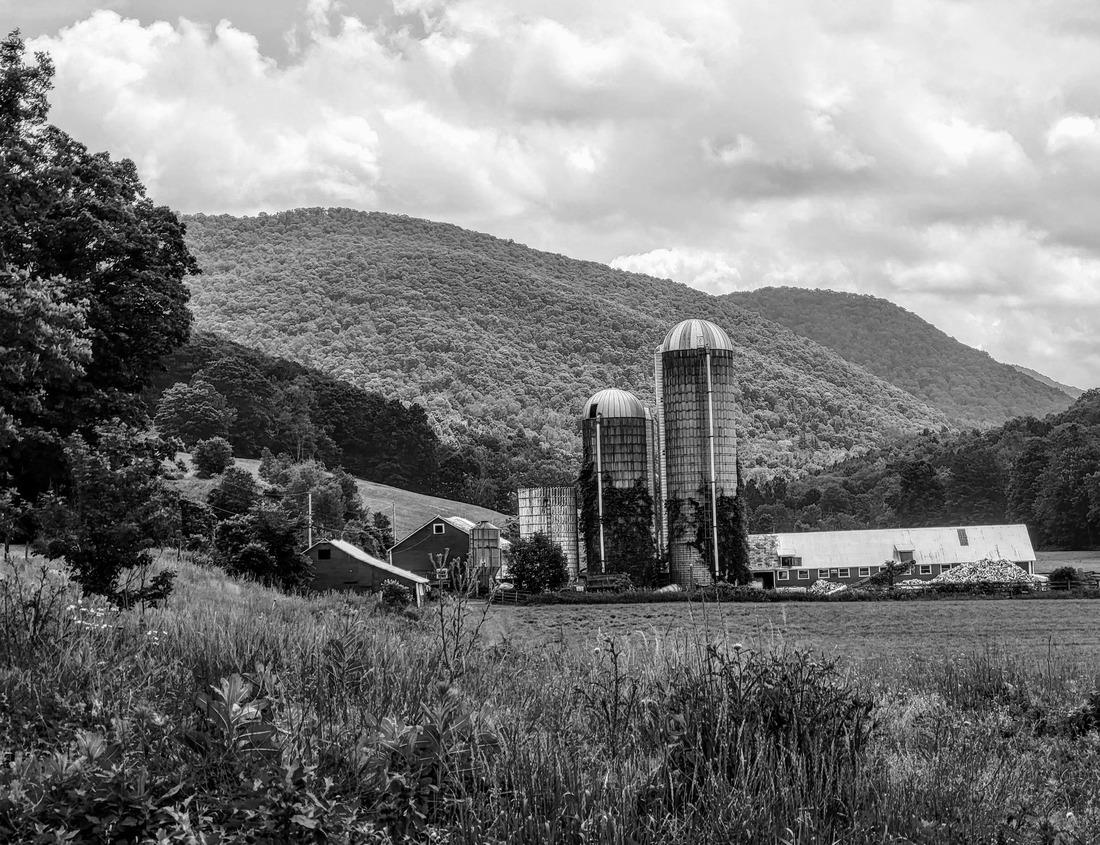 Noah Jigsaw Puzzle Lexington, Kentucky downtown fountain with the city's financial business district visible in the distance in black white 1000 pieces