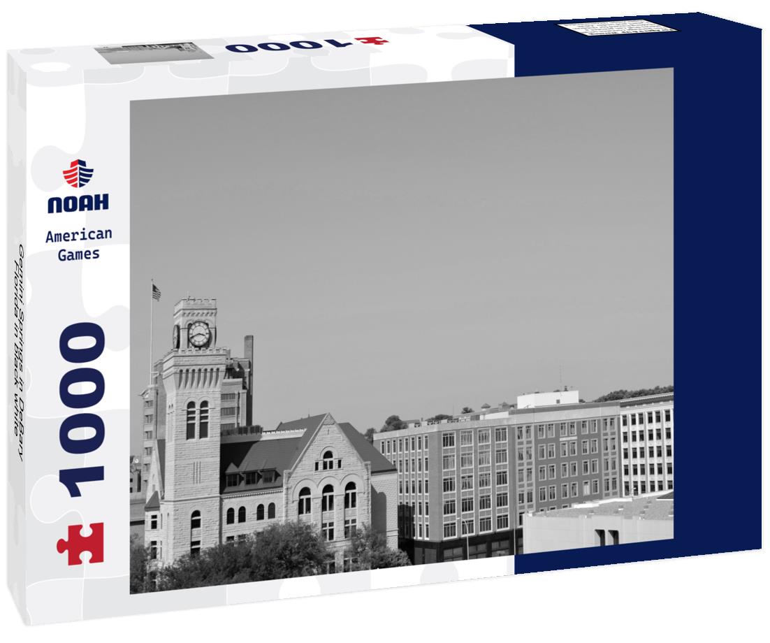 Noah Jigsaw Puzzle Gemini Springs in DeBary, Florida in black white 1000 pieces