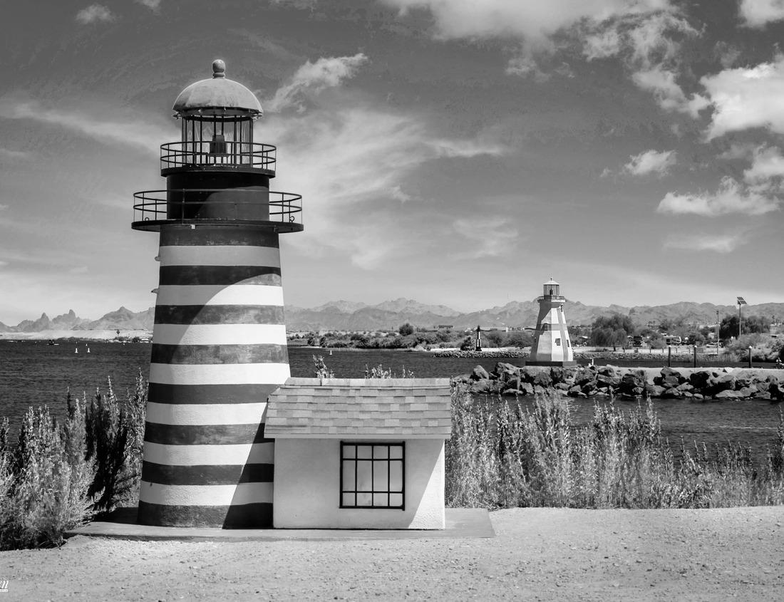 Noah Jigsaw Puzzle Natural greenery in the middle of the Edgewater neighborhood of Miami, with skyscrapers in view in black white 1000 pieces