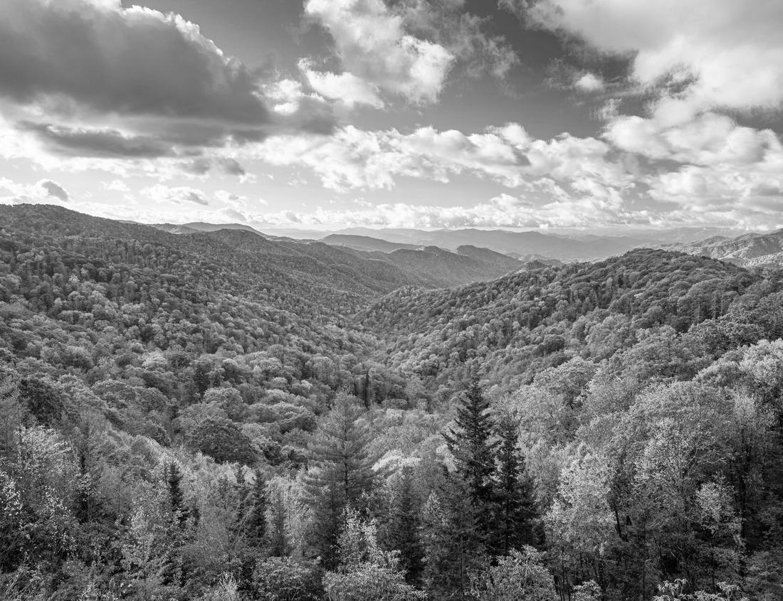 Noah Jigsaw Puzzle Historical landmark located at Heritage Square in Oxnard, CA in black white 1000 pieces