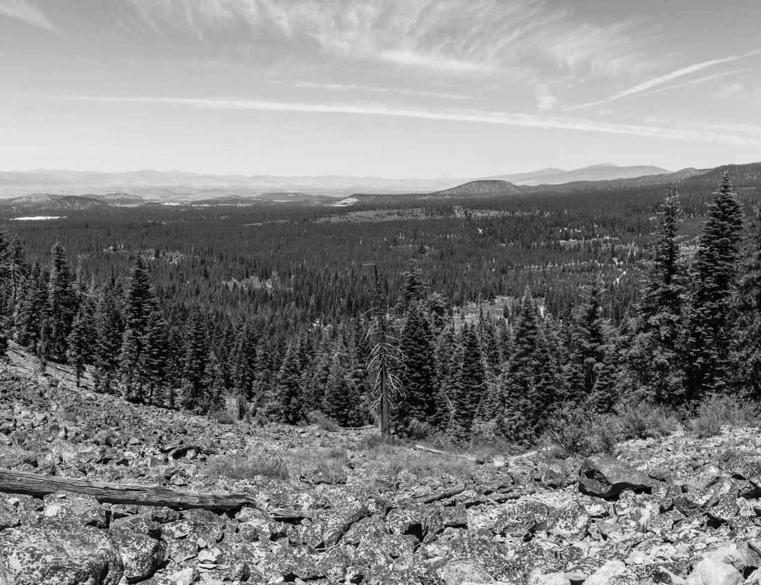 Noah Jigsaw Puzzle Fort Union Trading Post National Historic Site in black white 1000 pieces
