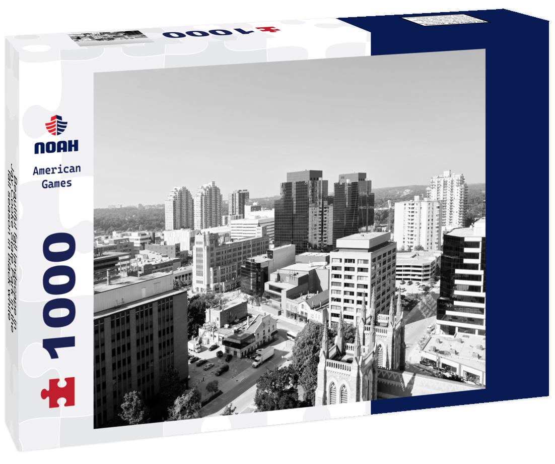 Noah Jigsaw Puzzle Beautiful fall landscape in Jay Cooke State Park in the fall season in black white 1000 pieces