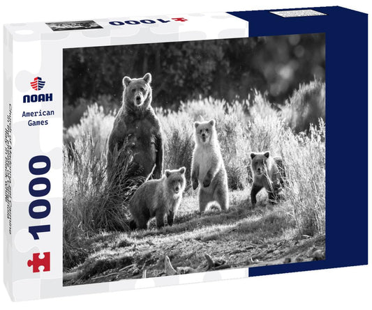 Noah Jigsaw Puzzle Church of Madonna sel Carmine in the streets of Cerignola, Italy in black white 1000 pieces