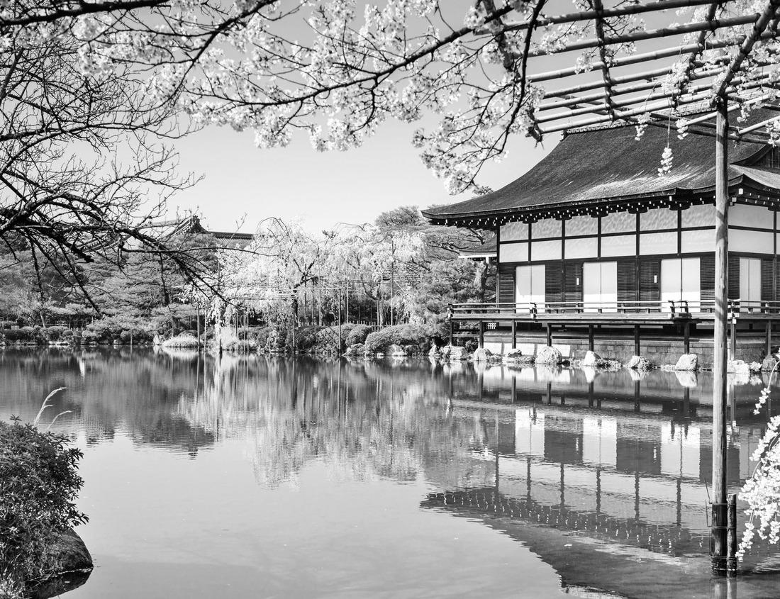 Noah Jigsaw Puzzle Marienburg Castle and Wurzburg in black white 1000 pieces